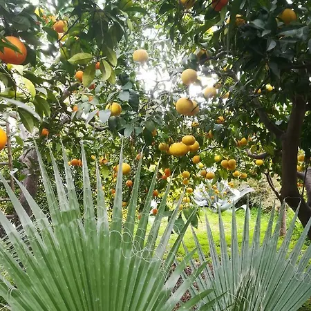 Holiday home Secret Garden *