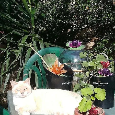 Holiday home Secret Garden