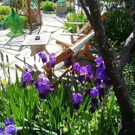 Secret Garden * Giovinazzo