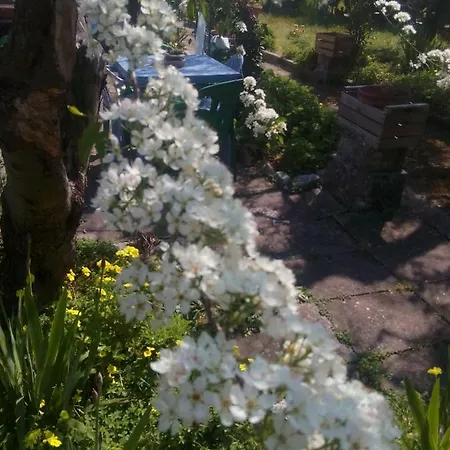 Secret Garden Holiday home Giovinazzo