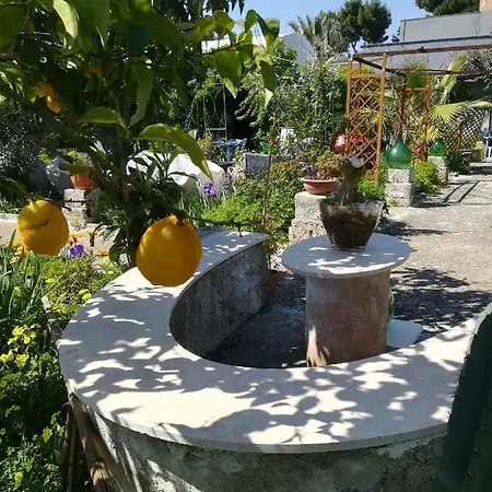 Secret Garden *