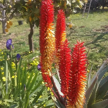 Holiday home Secret Garden