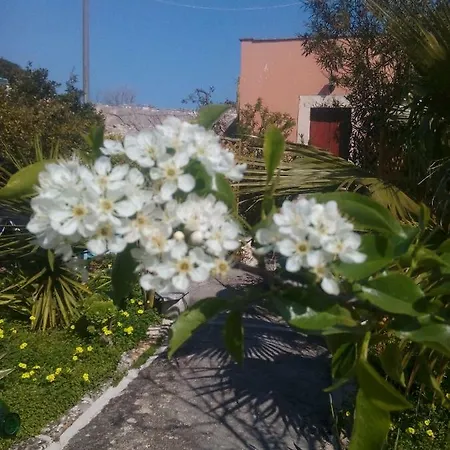 Secret Garden Holiday home
